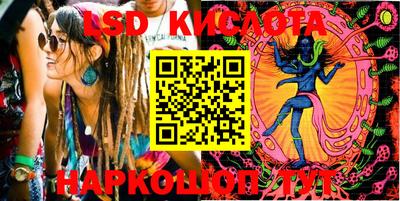 СК Кингисепп