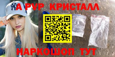СК Кингисепп