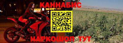 PSILOCYBIN Кинель