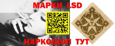 СК Кингисепп