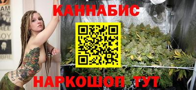СК Кингисепп