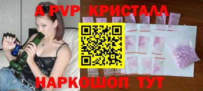 СК Кингисепп