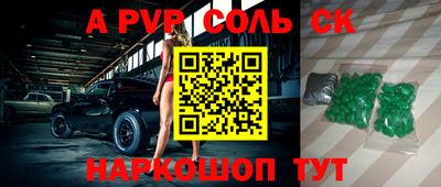 СК Кингисепп