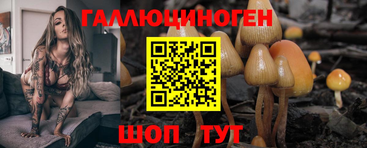Псилоцибиновые грибы GOLDEN TEACHER  Вход с VPN  Лабинск 